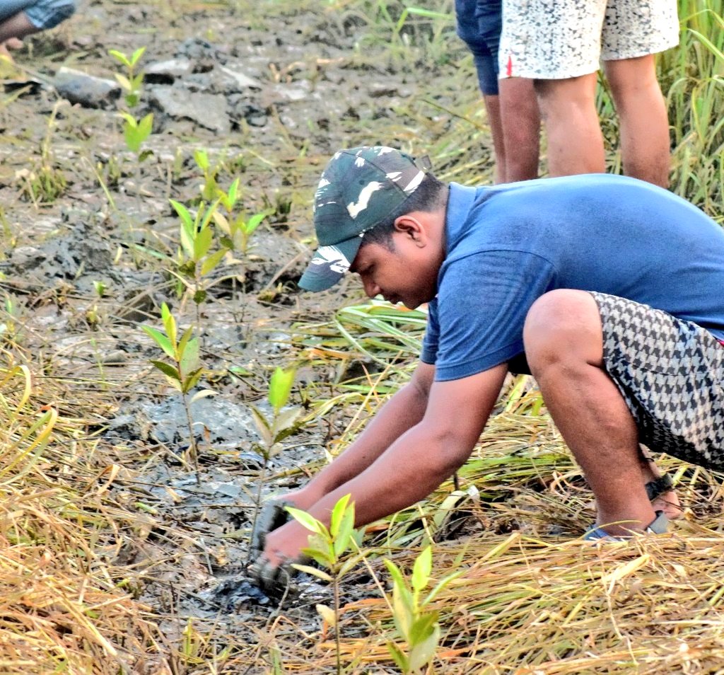 Mangrove Conservation